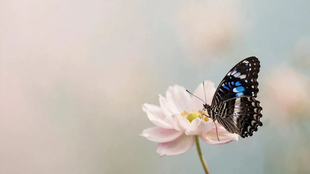 Short Butterfly Captions